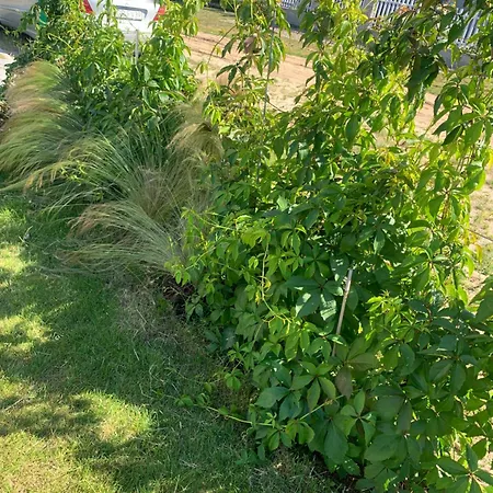 Albatrosa 17 - Nr 3 شقة