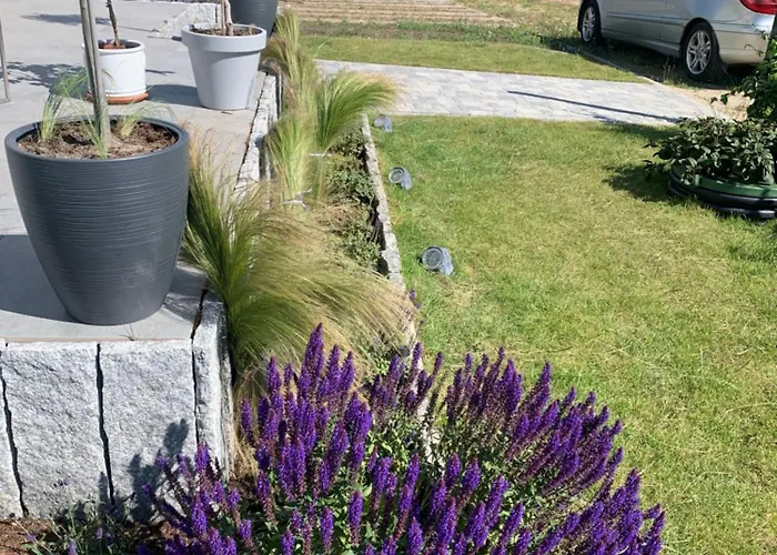 Albatrosa 17 - Nr 3 *