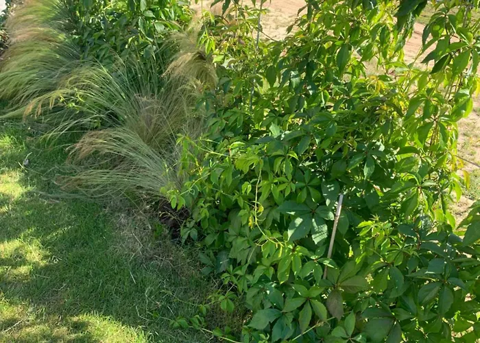 Albatrosa 17 - Nr 3 Apartmán